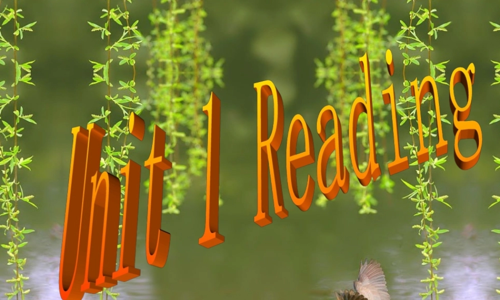 八年级英语Unit1 Reading 课件牛津版 课件