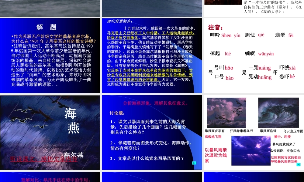 八年级语文海燕课件 人教版 课件