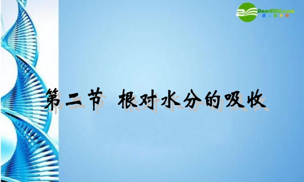 八年级生物上册 根对水分的吸收课件 冀教版 课件