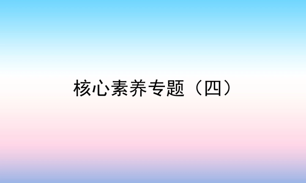 中考数学复习 核心素养专题(四)课件