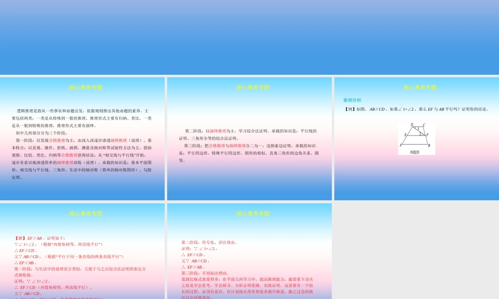 中考数学复习 核心素养专题(四)课件