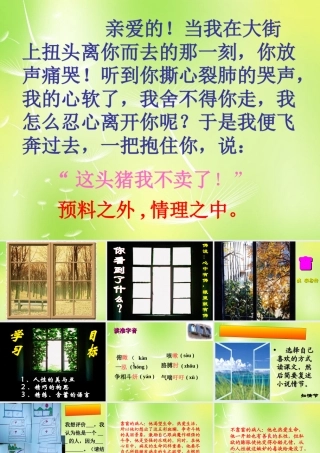 八年级语文下册 第四单元 课件 (新版)苏教版 课件