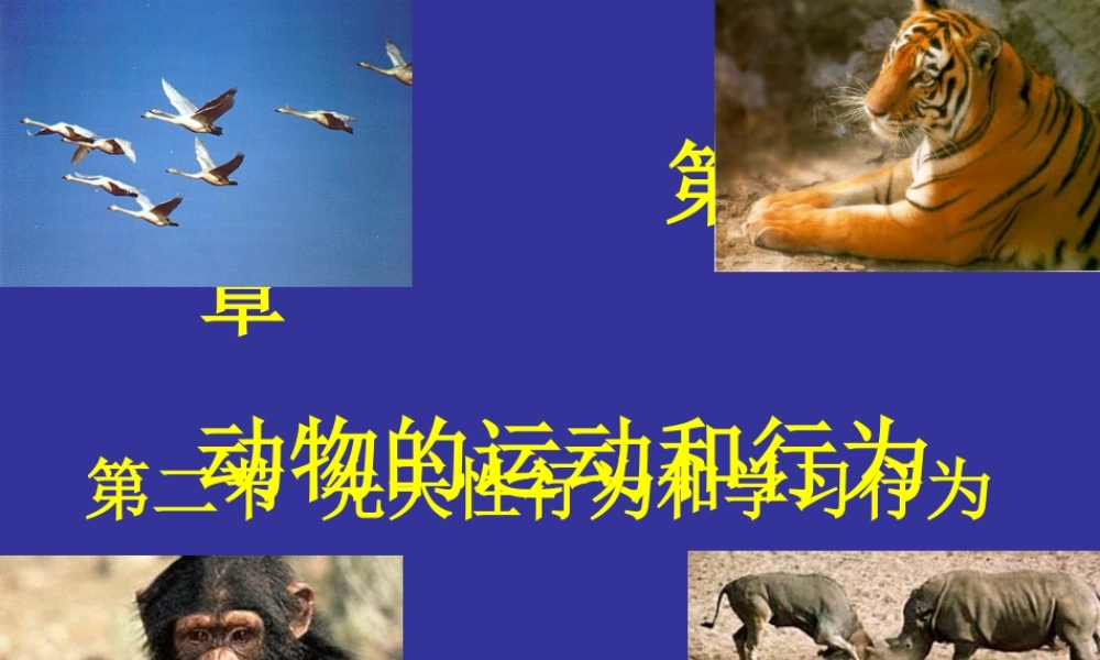 八年级生物上册 生物先天性行为和学习行为课件 人教新课标版 课件