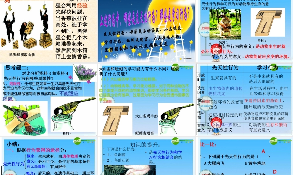 八年级生物上册 生物先天性行为和学习行为课件 人教新课标版 课件