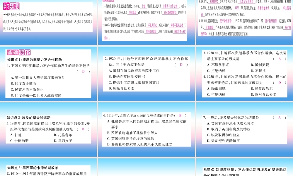 九年级历史下册 第3单元 第一次世界大战和战后初期的世界 第12课 亚非拉民族民主运动的高涨自学课件 新人教版 课件