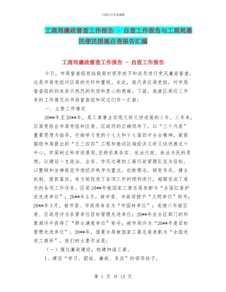 工商局廉政督查工作报告