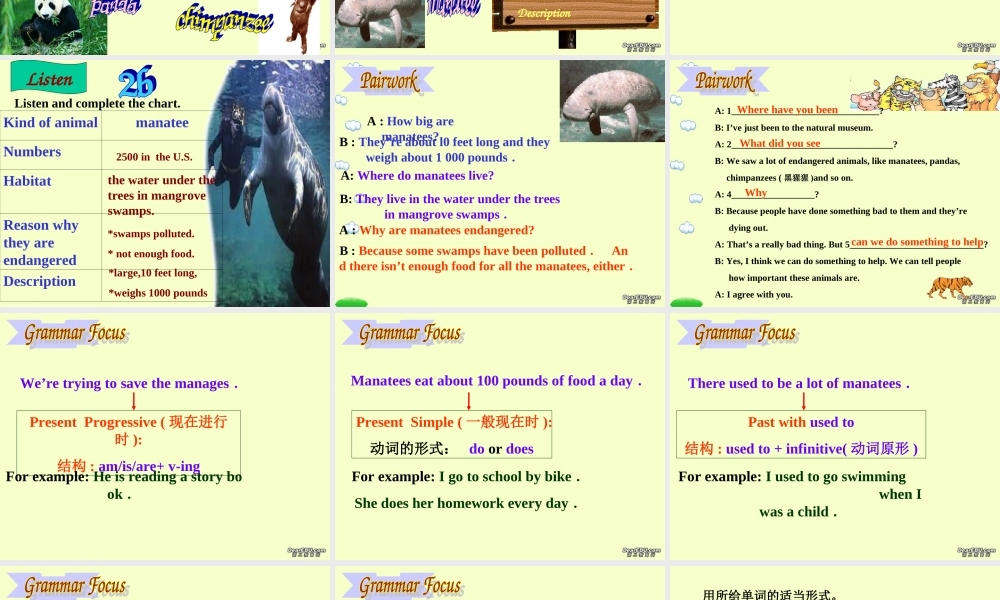 九年级英语Unit15 We are trying to save the manatees课件 人教新目标版 课件