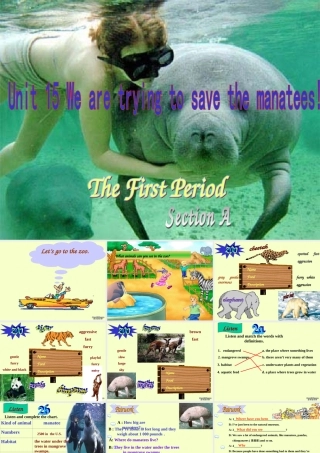 九年级英语Unit15 We are trying to save the manatees课件 人教新目标版 课件