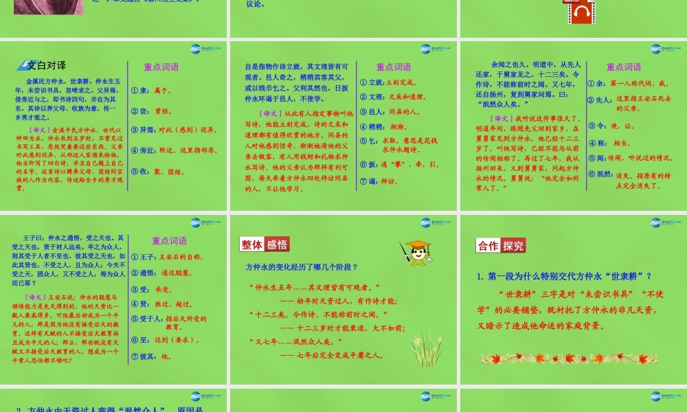 中学七年级语文下册(第5课 伤仲永)课件1 新人教版 课件