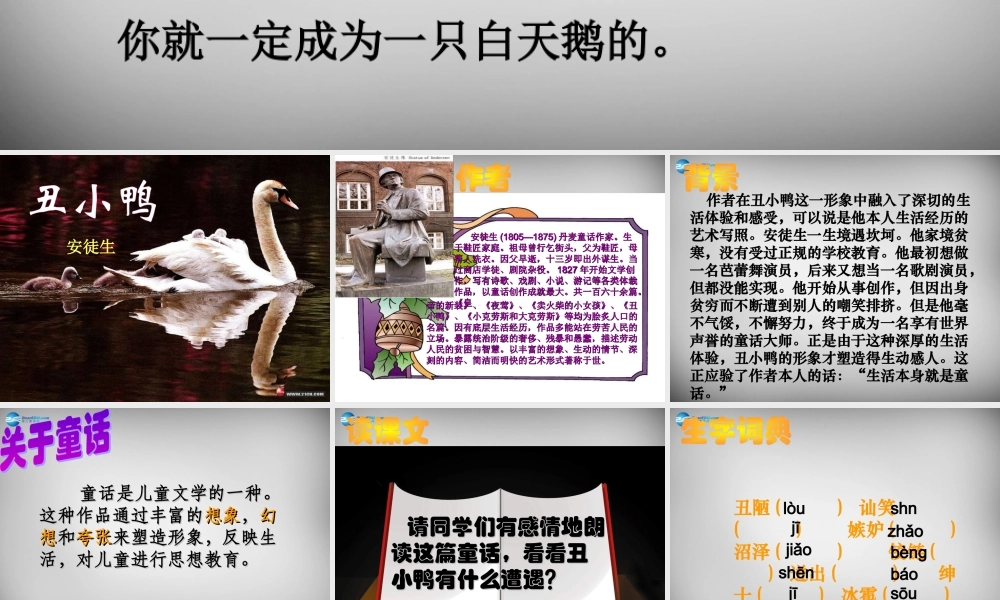 中学七年级语文下册 3(丑小鸭)课件3 新人教版 课件