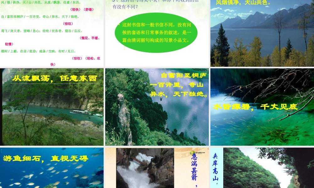 八年级语文下册 21.与朱元思书(浅层阅读+深层阅读+语文积累)课件 新人教版 课件