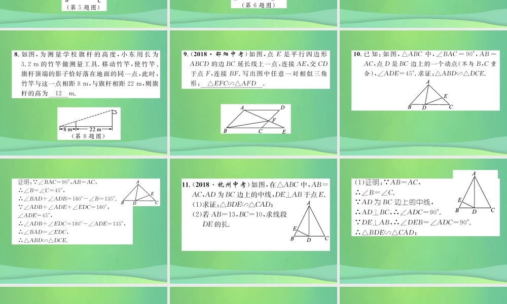中考数学复习 第5章 图形的相似与解直角三角形 第19课时 图形的相似与位似(精练)课件
