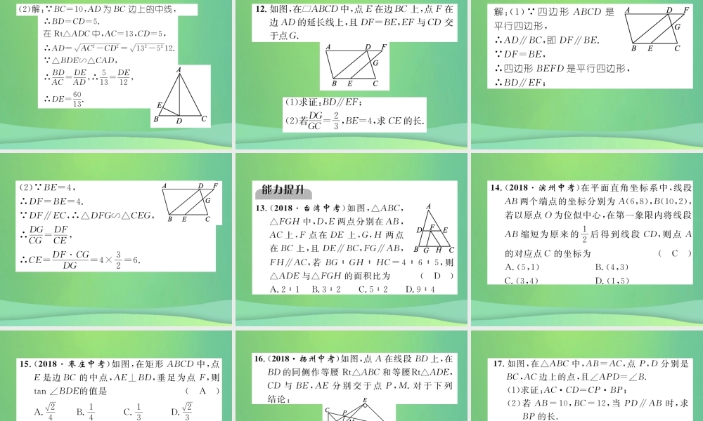 中考数学复习 第5章 图形的相似与解直角三角形 第19课时 图形的相似与位似(精练)课件