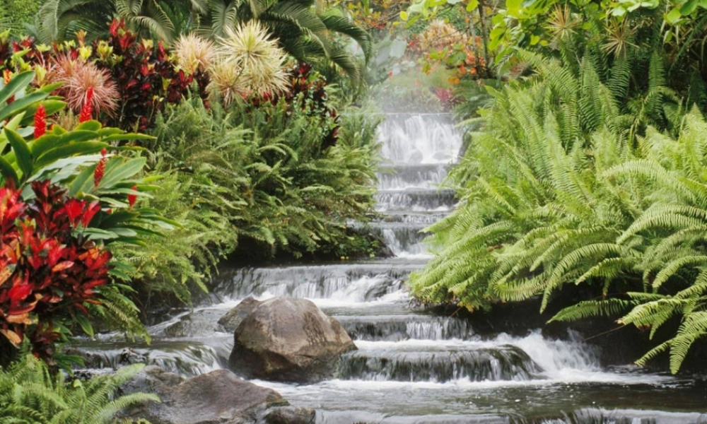 仁爱版七年级英语下季节之课件