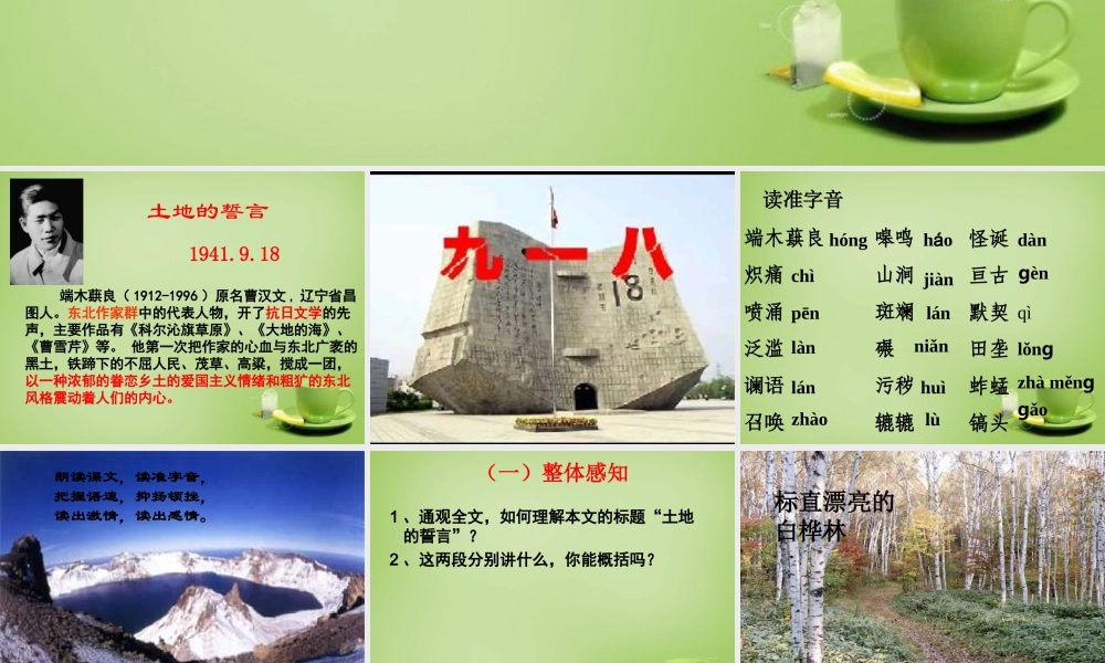 中学七年级语文下册 2.9(土地的誓言)课件 (新版)新人教版 课件