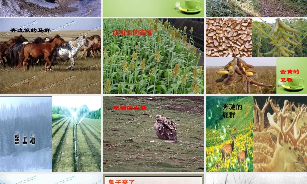 中学七年级语文下册 2.9(土地的誓言)课件 (新版)新人教版 课件