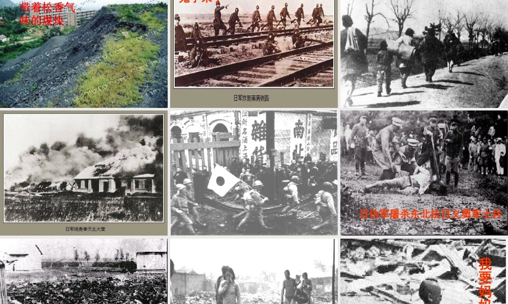 中学七年级语文下册 2.9(土地的誓言)课件 (新版)新人教版 课件