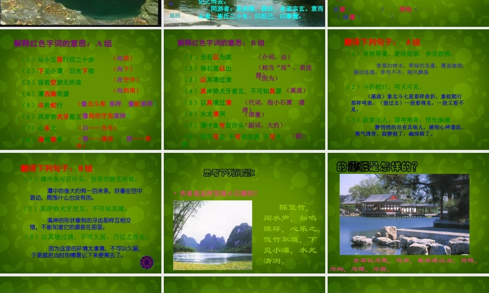 八年级语文上册 16 小石潭记课件3 苏教版 课件