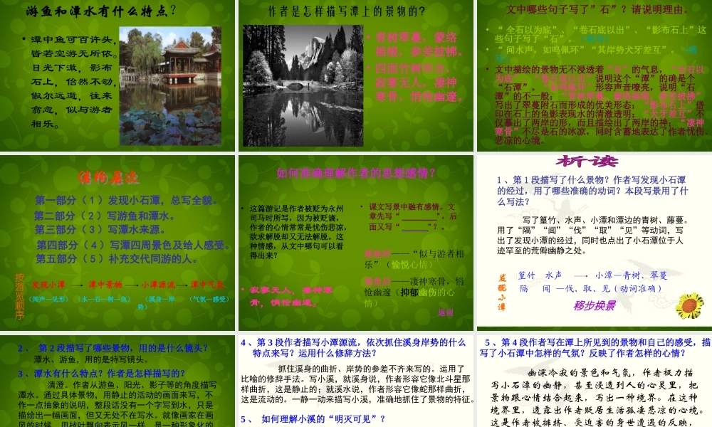 八年级语文上册 16 小石潭记课件3 苏教版 课件