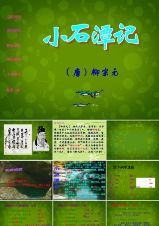 八年级语文上册 16 小石潭记课件3 苏教版 课件