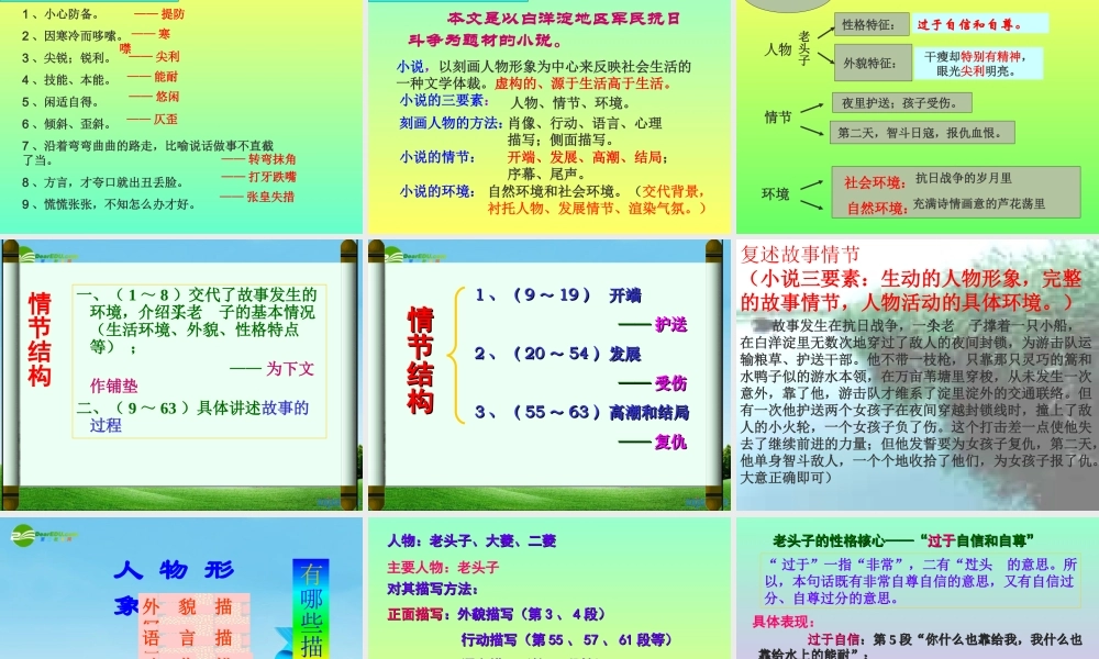 八年级语文上册 (芦花荡)优秀实用课件 人教新课标版 课件