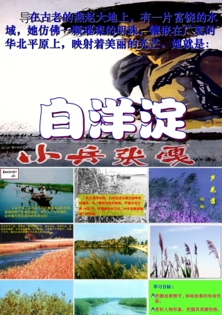 八年级语文上册 (芦花荡)优秀实用课件 人教新课标版 课件