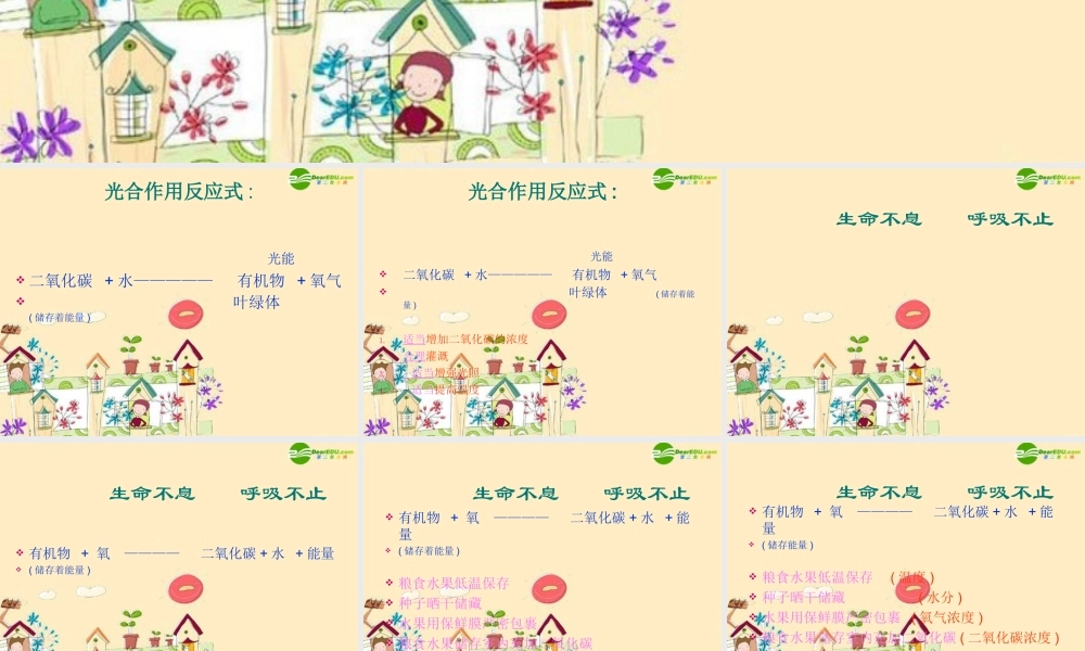 七年级生物上册 绿色植物是生物圈中有机物的制造者课件 新人教版 课件