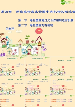 七年级生物上册 绿色植物是生物圈中有机物的制造者课件 新人教版 课件