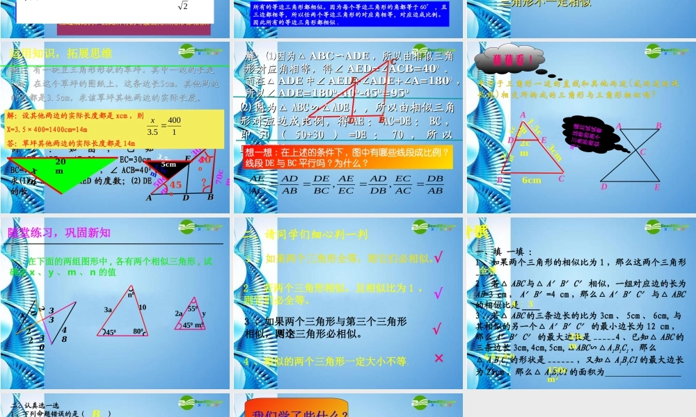 八年级数学下册 4.5 相似三角形课件 北师大版 课件