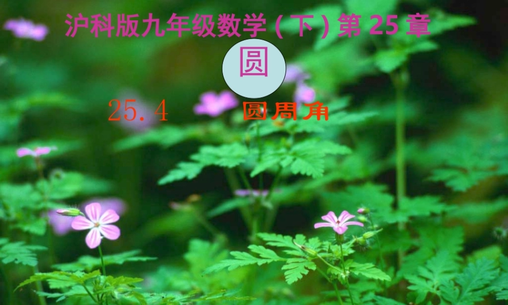 九年级数学下册 圆周角教学课件 沪科版 课件