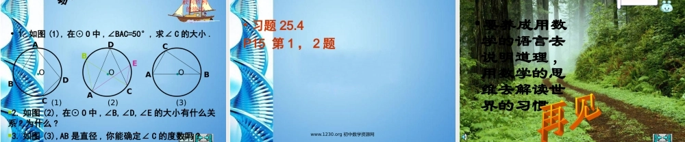 九年级数学下册 圆周角教学课件 沪科版 课件