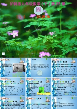 九年级数学下册 圆周角教学课件 沪科版 课件