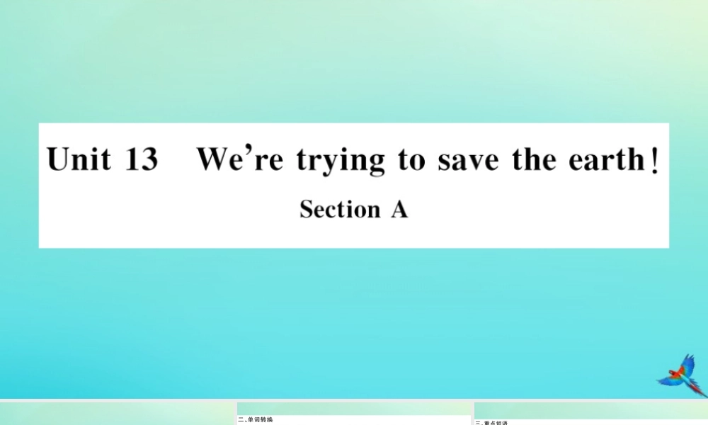 九年级英语全册 Unit 13 We re trying to save the earth Section A习题课件 (新版)人教新目标版 课件