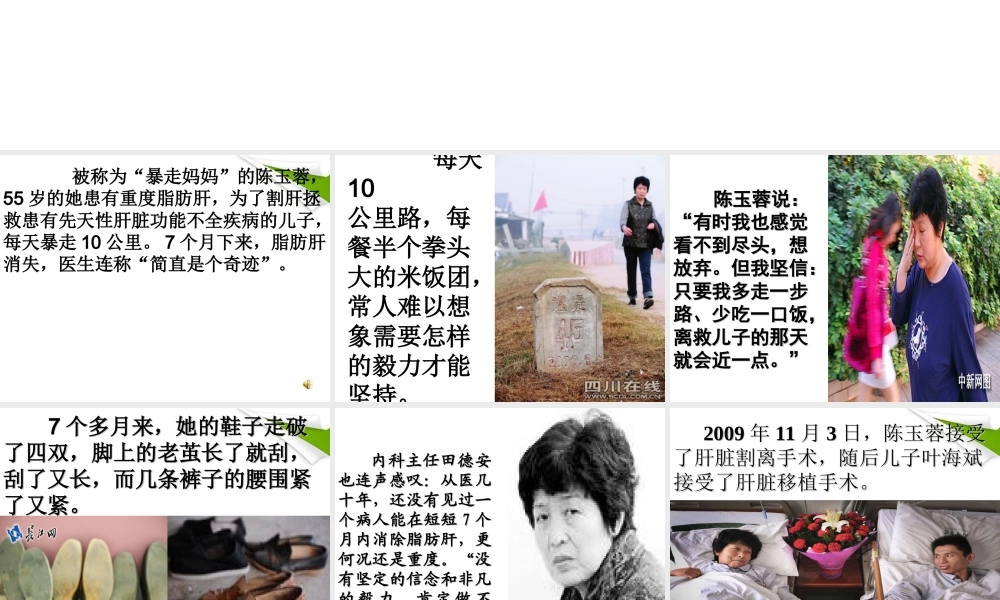 八年级语文下册 散步课件 苏教版 课件