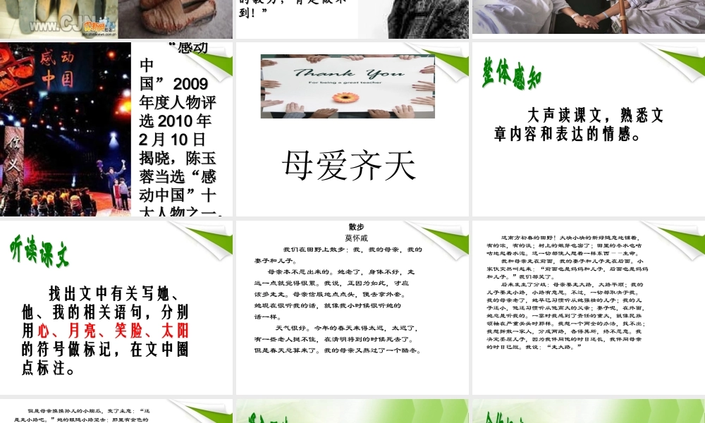 八年级语文下册 散步课件 苏教版 课件