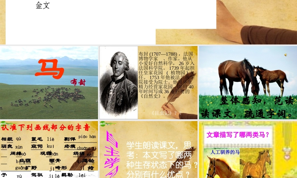 七年级语文下册(马)教学课件 人教新课标版 课件