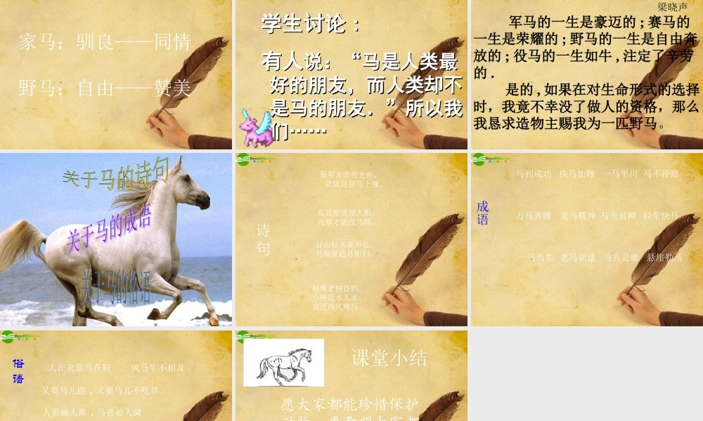 七年级语文下册(马)教学课件 人教新课标版 课件