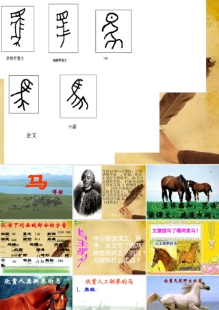 七年级语文下册(马)教学课件 人教新课标版 课件