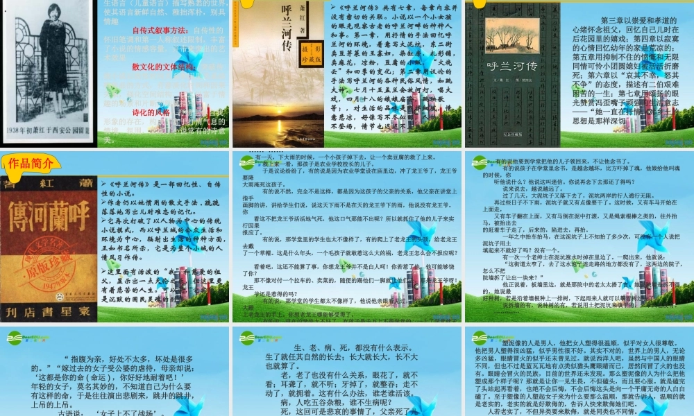 九年级语文下册 (呼兰河传)优秀实用课件 苏教版 课件