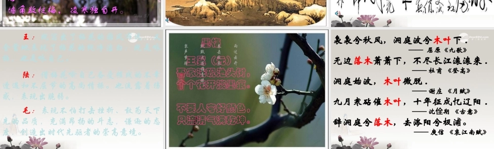 中学高三语文(说 木 叶 —谈 暗示性 )课件  课件