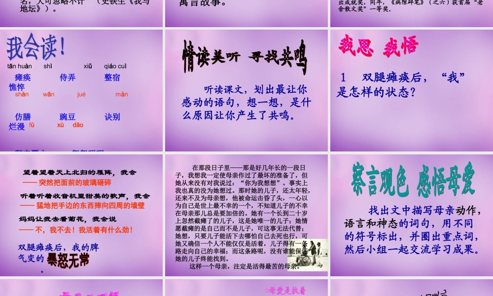 中学七年级语文上册 1.2 秋天的怀念课件 (新版)新人教版 课件