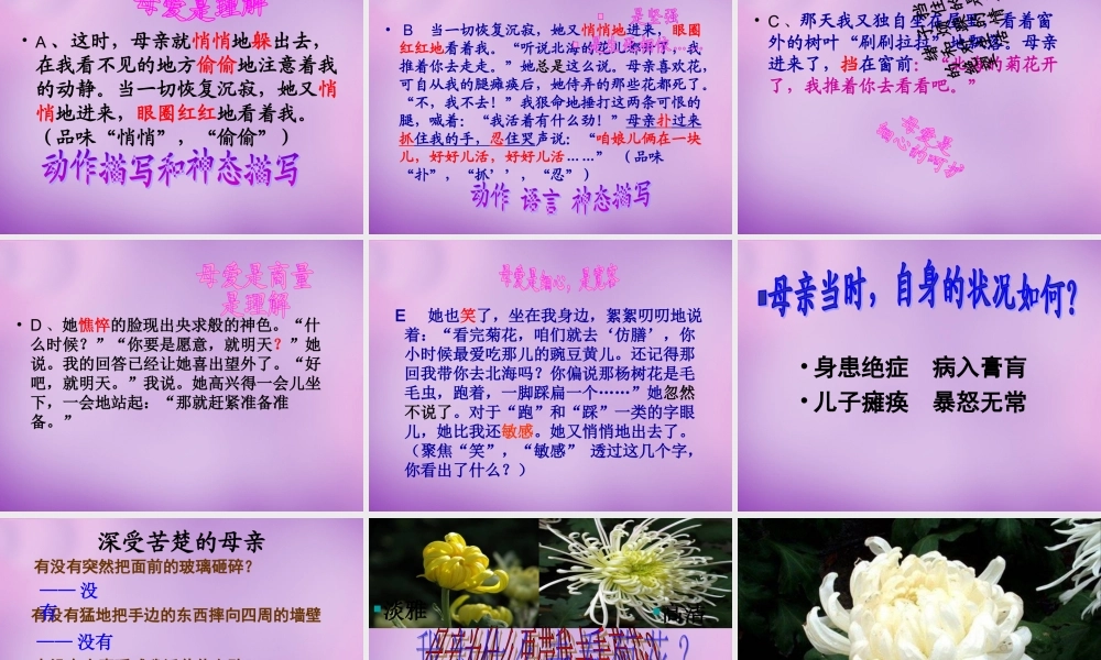 中学七年级语文上册 1.2 秋天的怀念课件 (新版)新人教版 课件