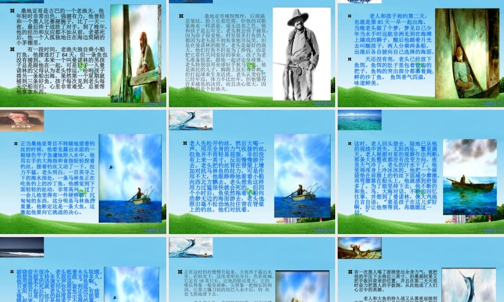 八年级语文上册 第斗鲨)说课课件 冀教版 课件