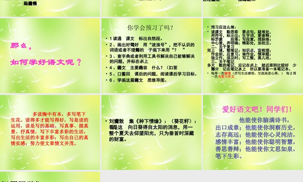 中学七年级语文上册 丰富多彩的语文课堂课件 苏教版 课件