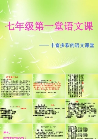 中学七年级语文上册 丰富多彩的语文课堂课件 苏教版 课件