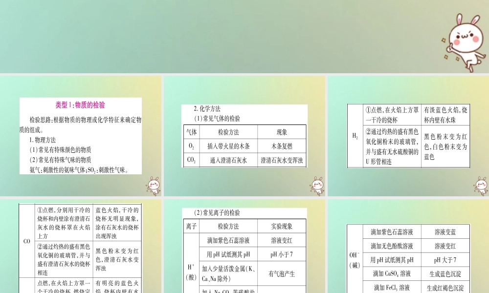中考化学准点备考复习 第二部分 题型专题突破 专题3 物质的检验与鉴别、分离、除杂、共存课件 新人教版 课件