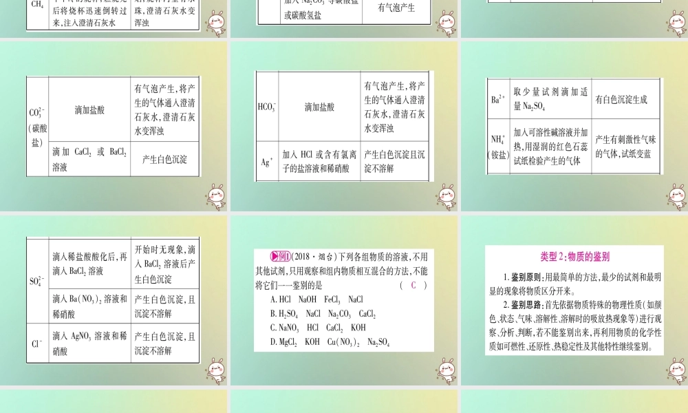 中考化学准点备考复习 第二部分 题型专题突破 专题3 物质的检验与鉴别、分离、除杂、共存课件 新人教版 课件