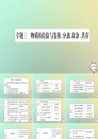 中考化学准点备考复习 第二部分 题型专题突破 专题3 物质的检验与鉴别、分离、除杂、共存课件 新人教版 课件