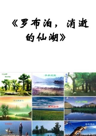 山东省日照七年级语文(罗布泊，消逝的仙湖)教学课件人教版 课件