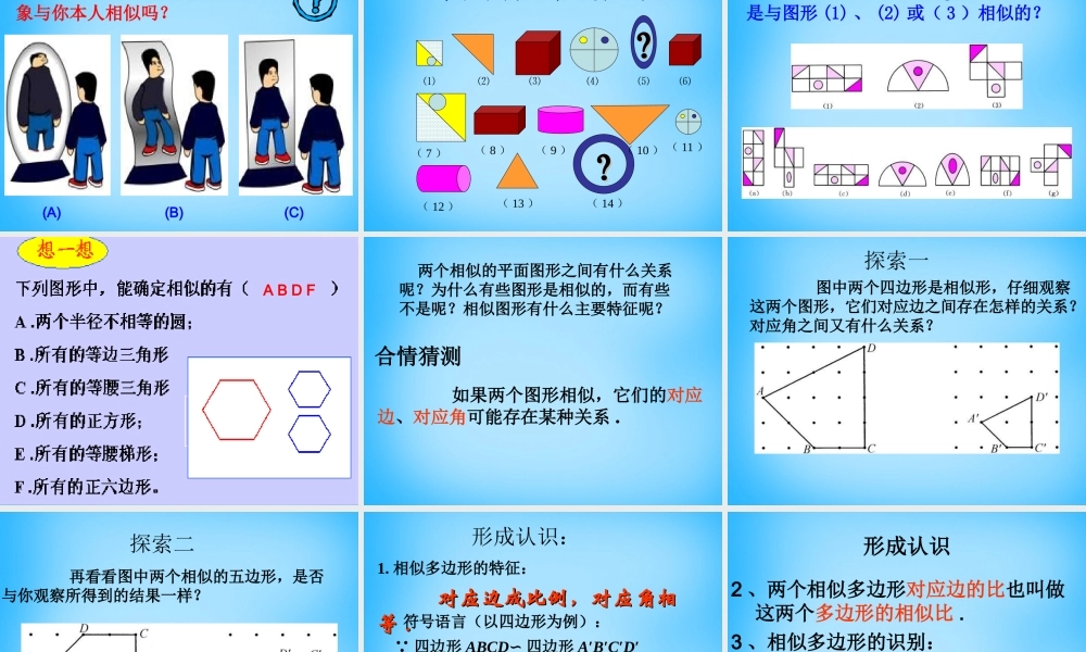 九年级数学下册 271 图形的相似课件 新人教版 课件